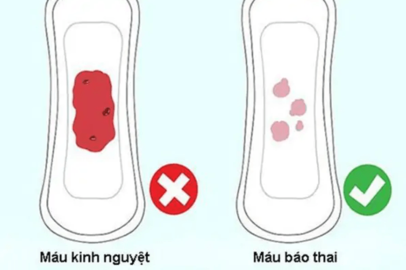 Các mẹo dân gian nhận biết có thai chỉ nên xem là thông tin tham khảo, không thể thay thế que thử thai hoặc xét nghiệm y khoa.